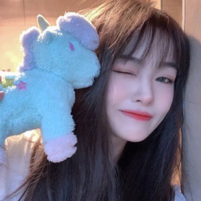 双面骗子虚假警察第一季